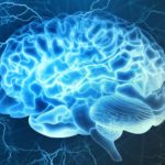 Ascension Succès _ Bruce Lipton _ Comment activer 100% de votre cerveau Pic